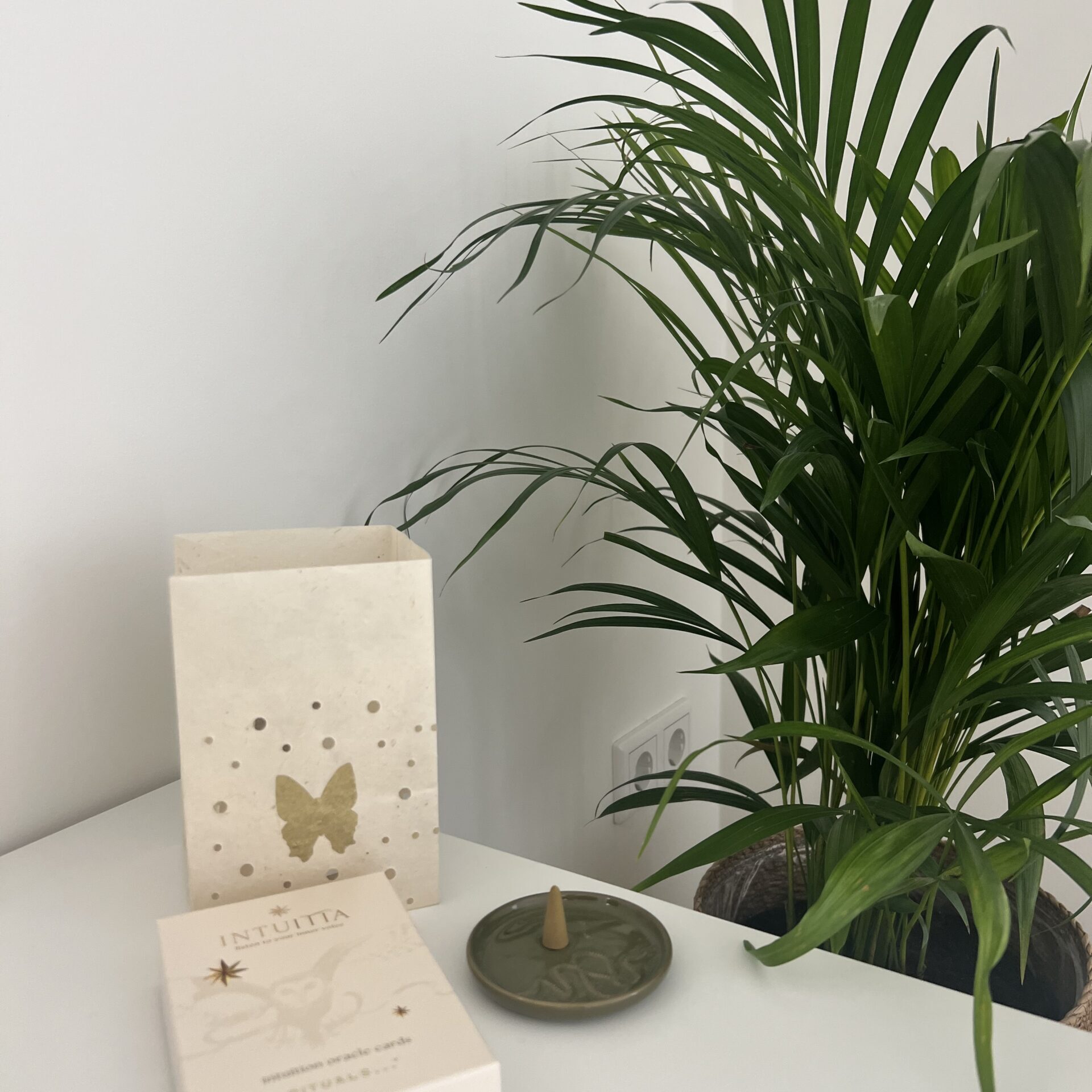 breathwork rotterdam nesselande